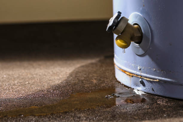 Trusted Water Damage Restoration in Madison Heights, VA | Fast, Reliable, and Ready to Assist You